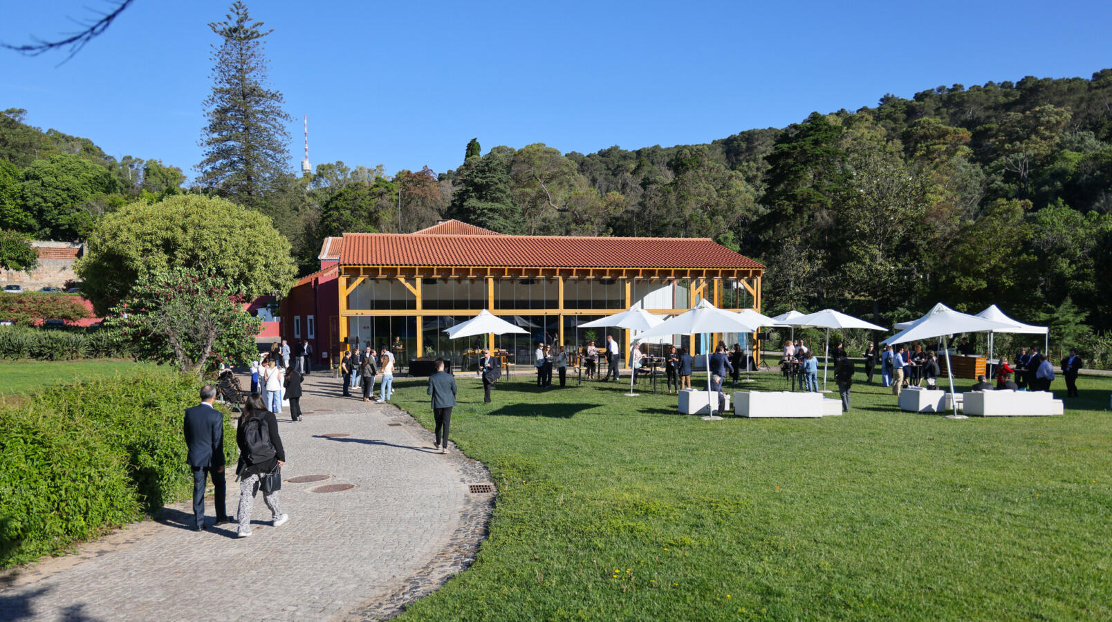 Galeria