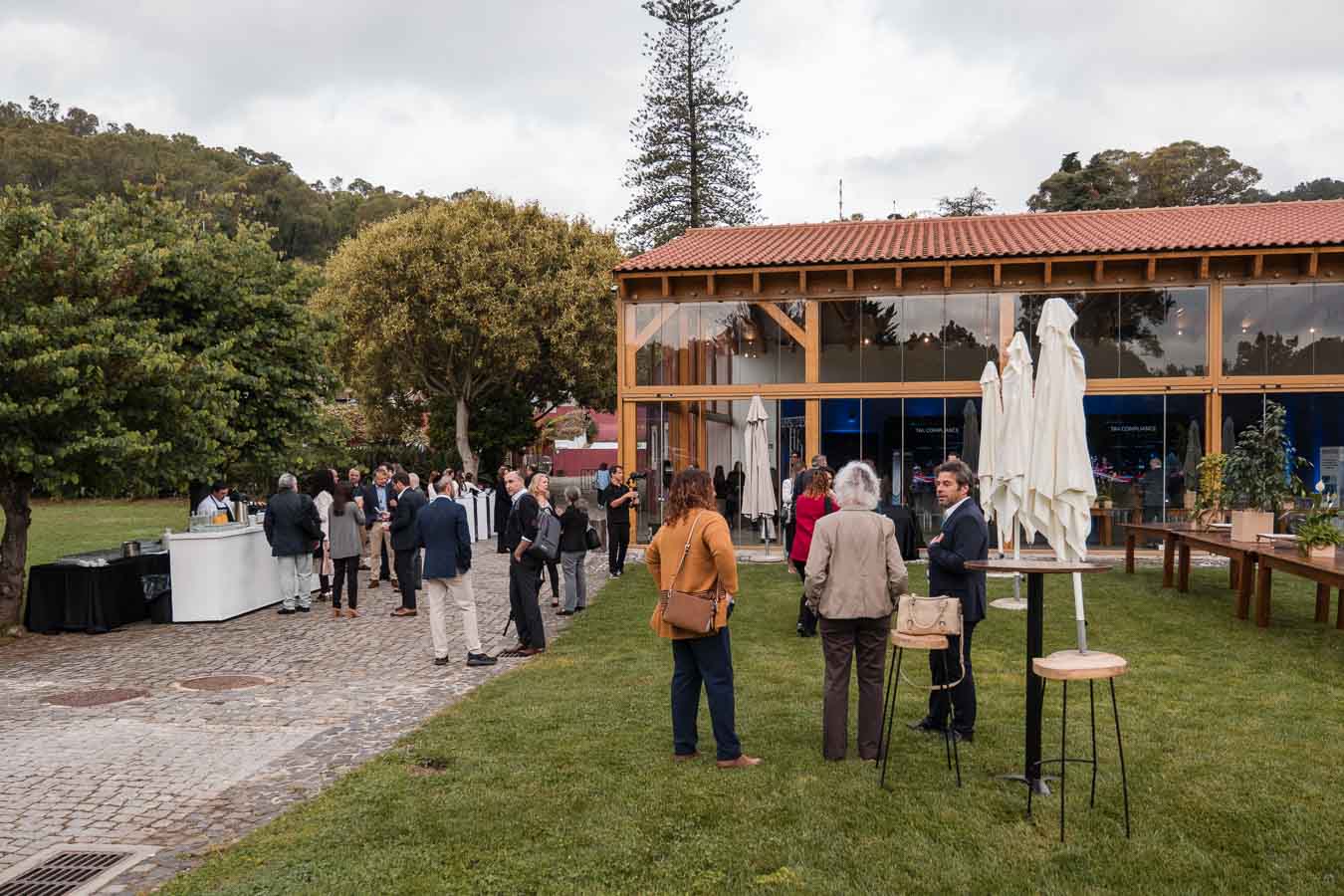 Galeria
